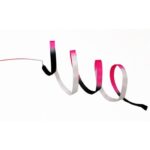 Ribbon Pastorelli shaded Black-Fuchsia-White FIG - Image 3